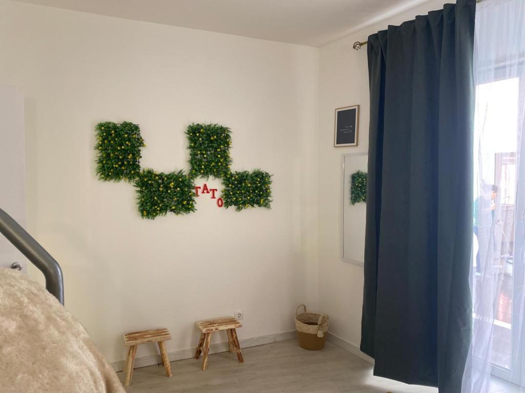 5 Senses Hostel Setúbal Extérieur photo